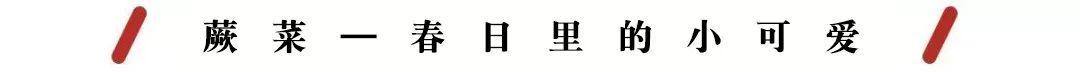 春日小野菜*戏调**指南