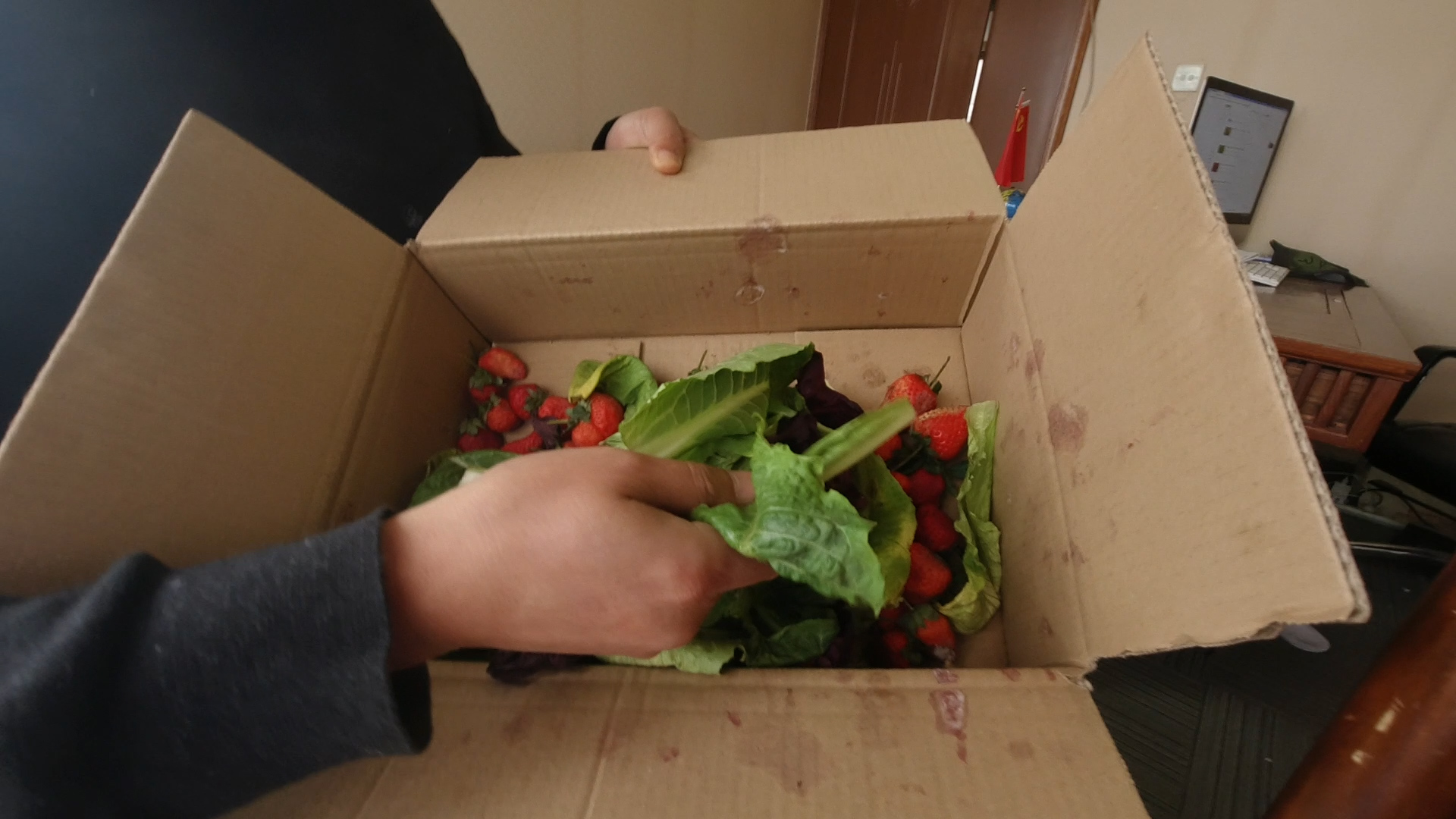 如何自制农用酵素?烂果烂叶加点糖,3个月后就能用,简单有效