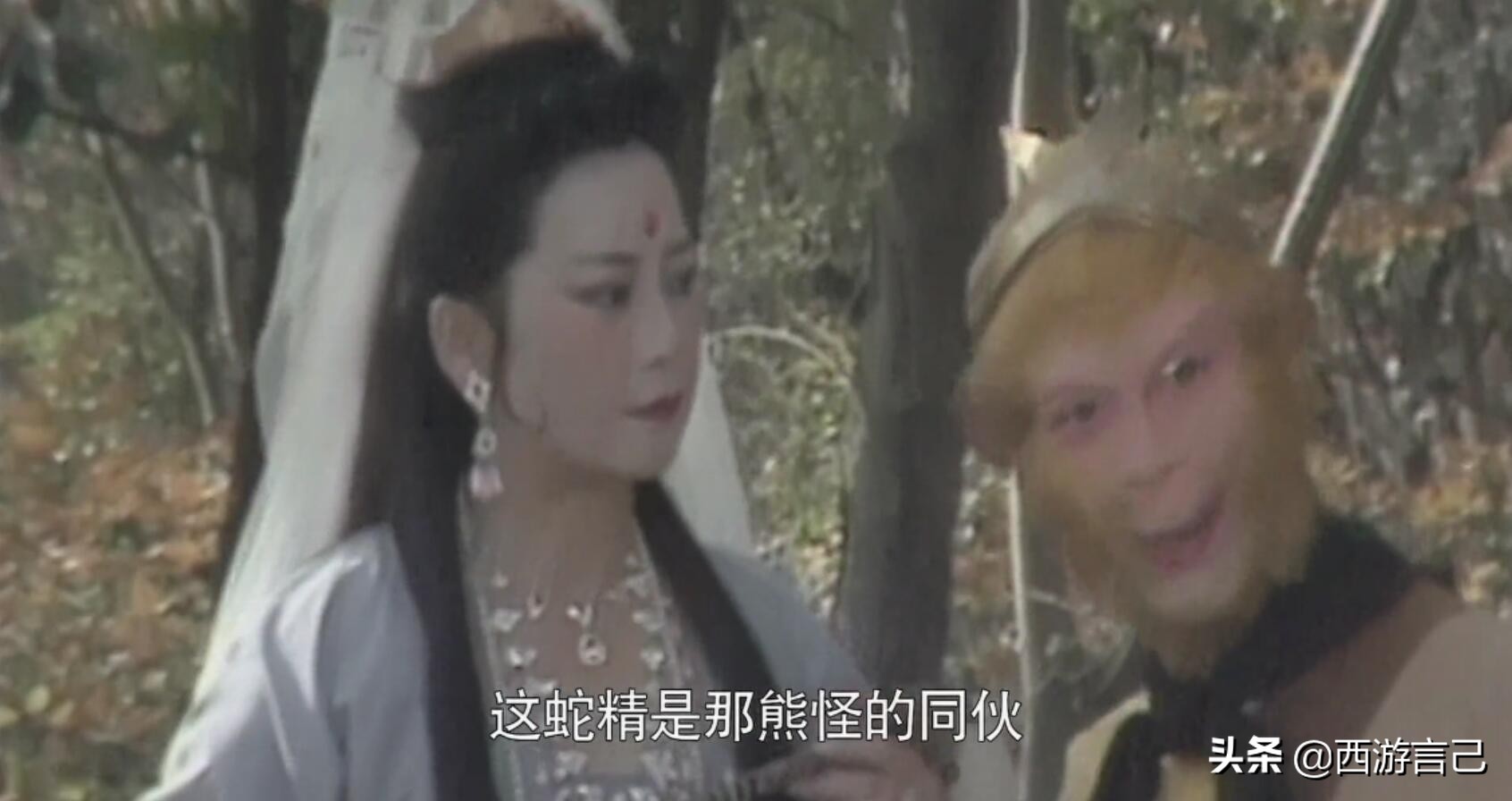 观音为什么对黑熊精手下留情,为什么观音会收服黑熊精