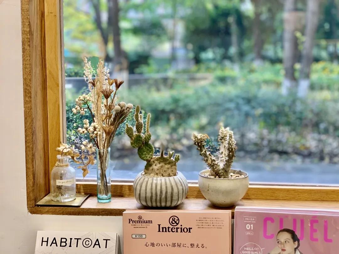 用阅读触摸成都｜在成都不能错过的10家书店（下）