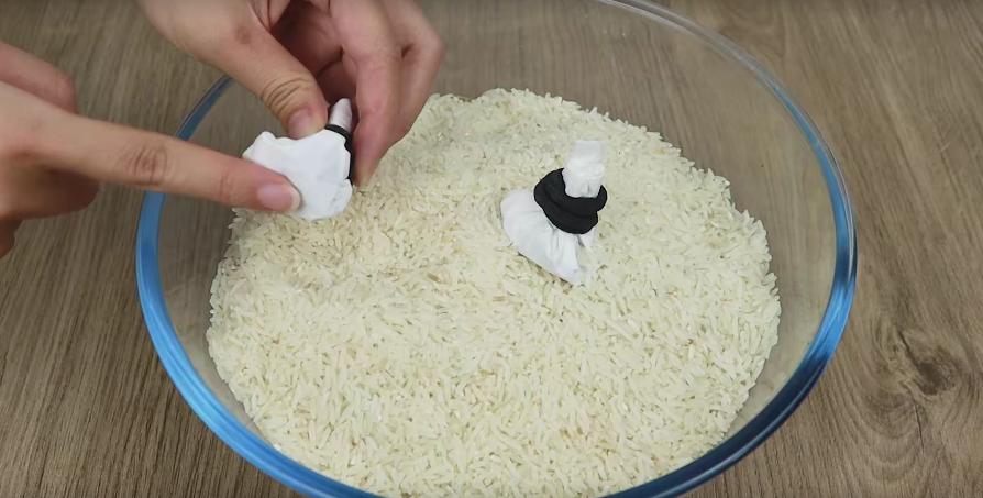 大米生虫怎么办?米店老板教我3个办法,小米虫通通消失,真实用