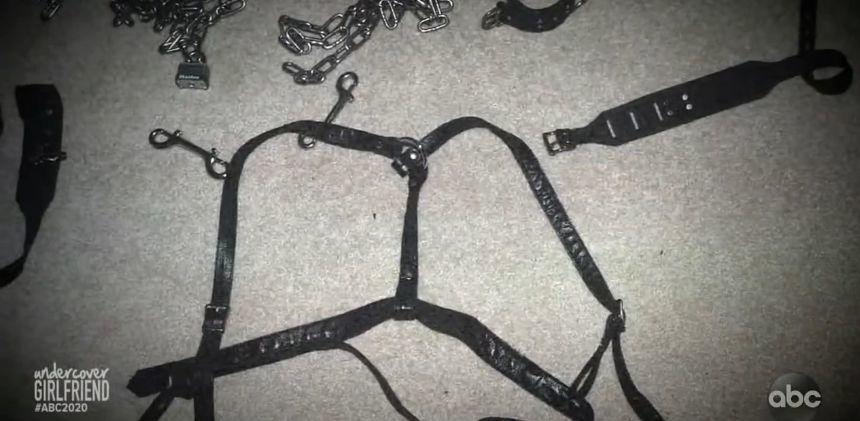 美国章莹颖纪录片2020完整视频,美国伊利诺伊州章莹颖