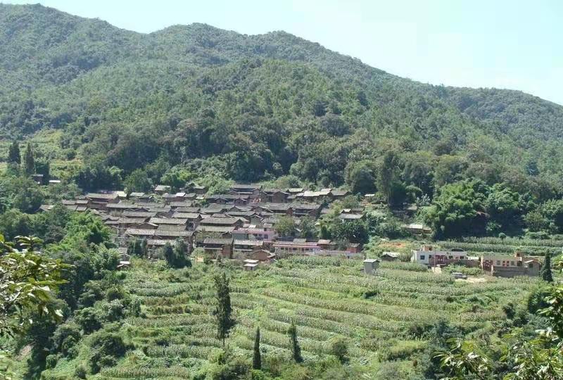 临沧普洱茶产区,临沧茶产区