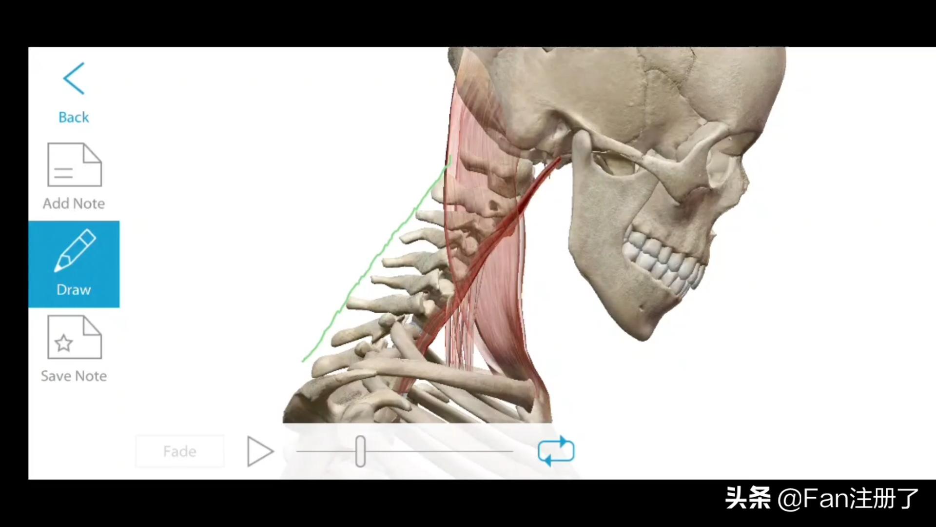 颈项痛怎么舒缓,什么病会导致颈项部疼痛