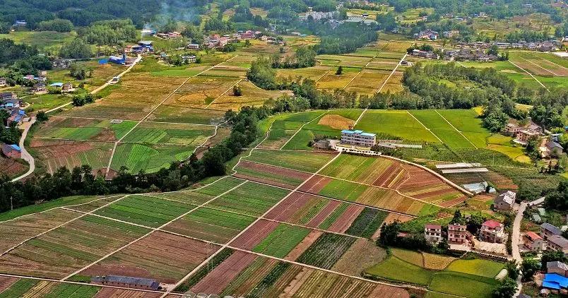 重庆乡村振兴村经济变化,重庆乡村振兴最新消息