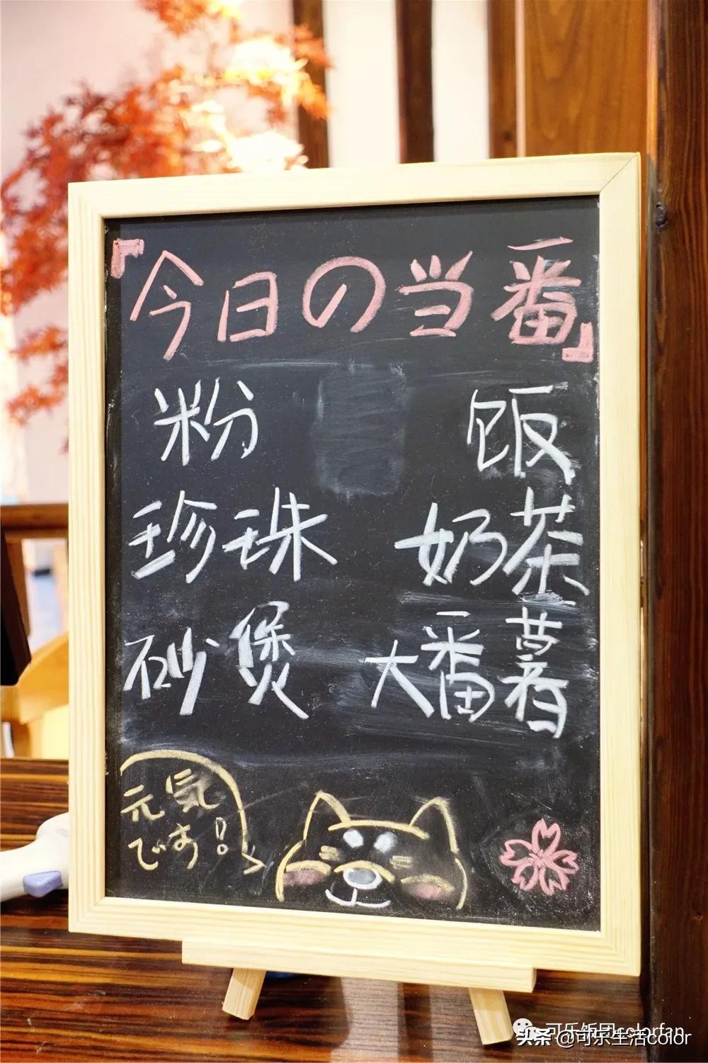 撸柴犬店广州,撸柴宠物乐园