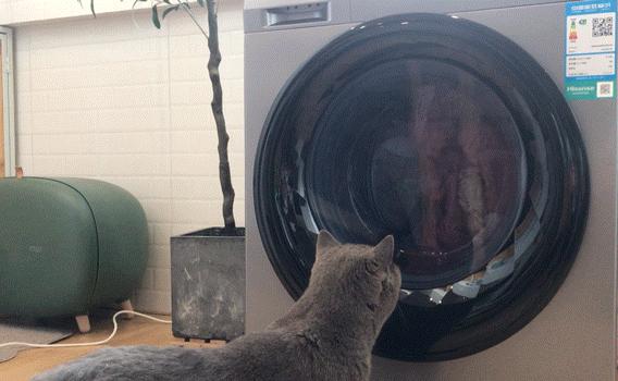 2000元以下的洗烘一体机能买吗,海信6公斤超薄洗烘一体机推荐