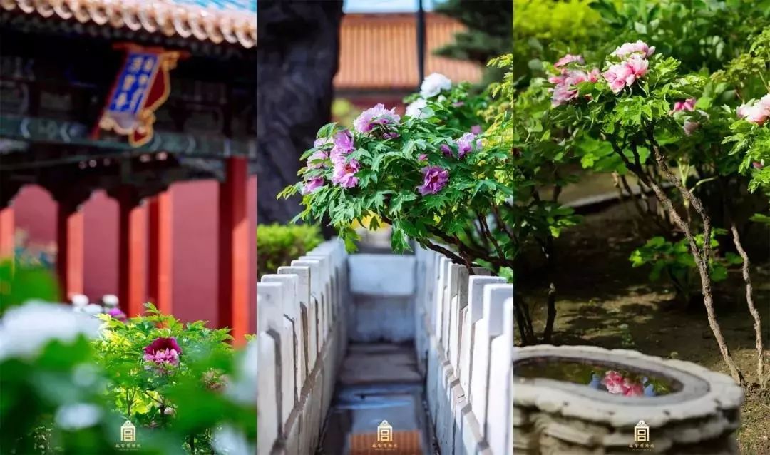 故宫流行色,上新了故宫第三季文创衣服产品