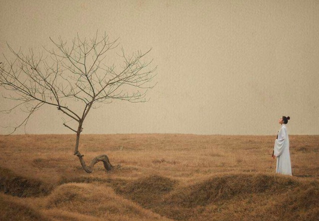 白居易的草诗名到底哪个是正确的,白居易的诗草意思是什么