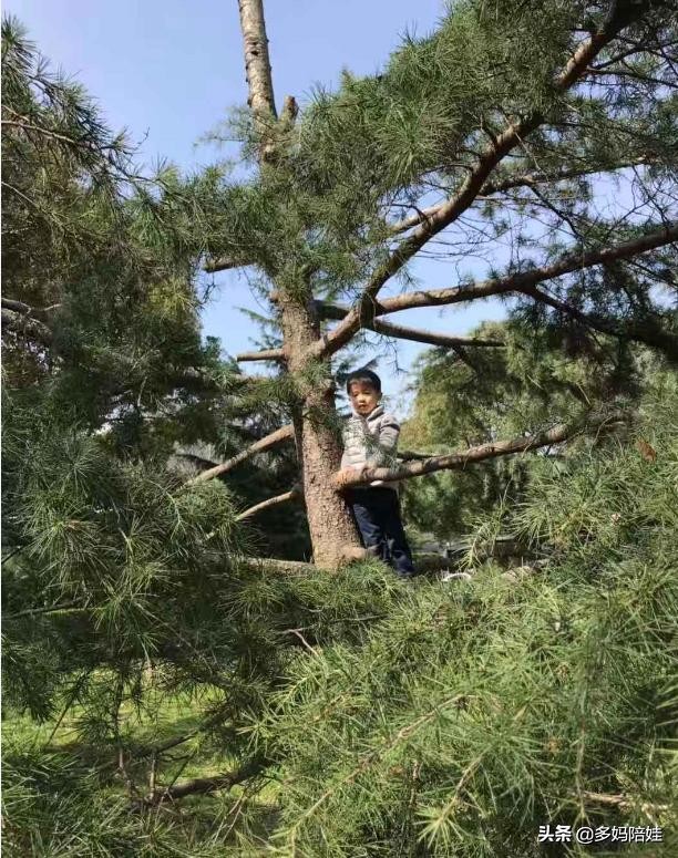 可以带孩子玩的大自然游戏,野外探险游戏项目