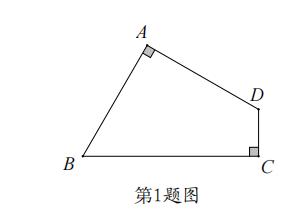 初中数学培优题整体法,初中数学冲刺培优专题解题技巧