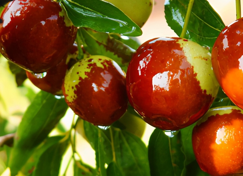 维生素c可以美颜吗,维生素c可以每天都吃吗