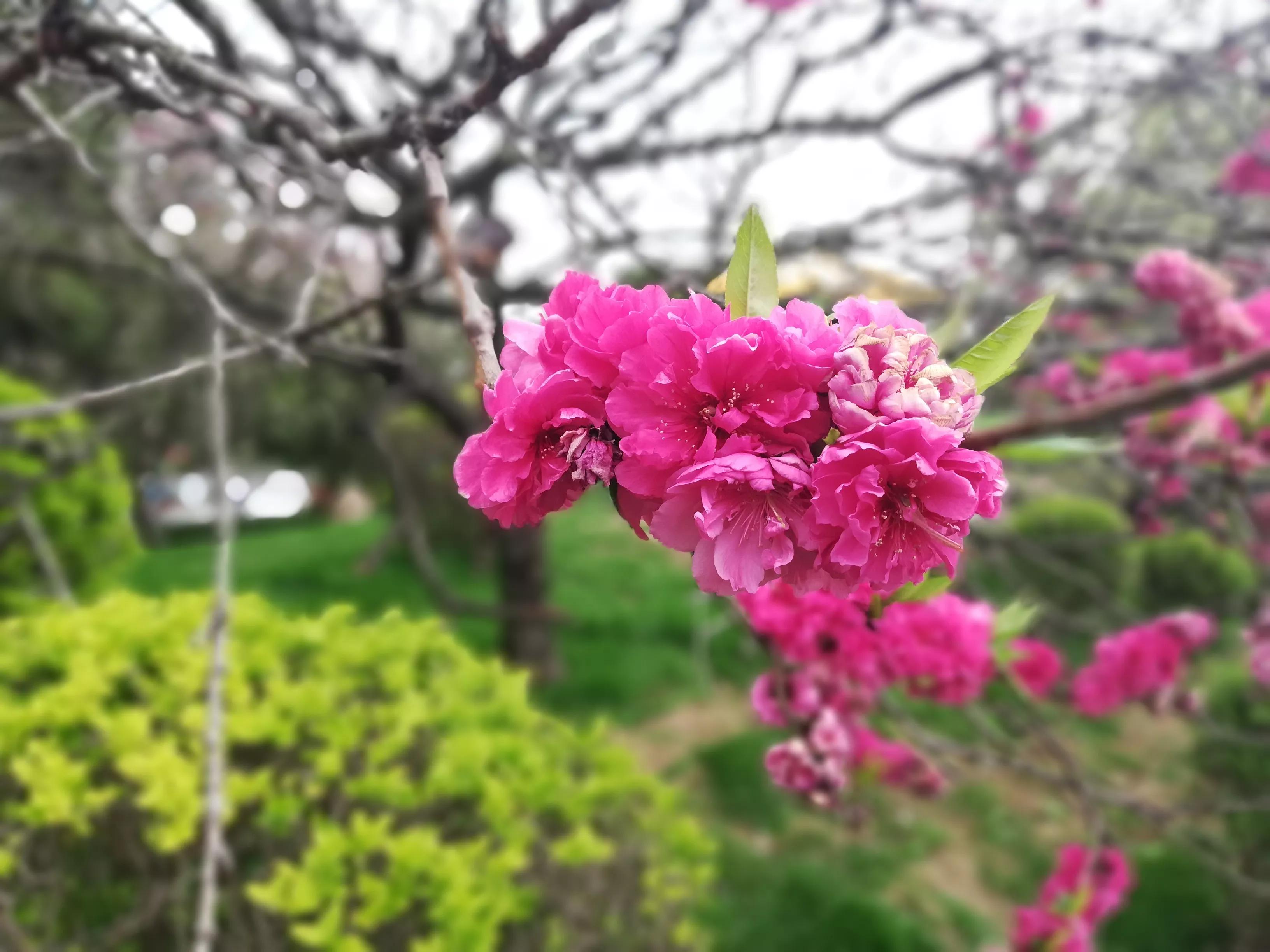 美女稽查官,夜闯“迷你”酒吧,与老板私下做生意