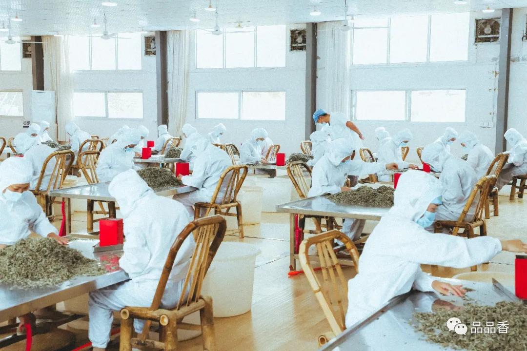 冰糖甜香老白茶,冰糖白茶兰花香