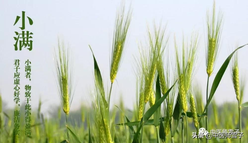 小满养生节气操,小满节气吃哪种食品更养生