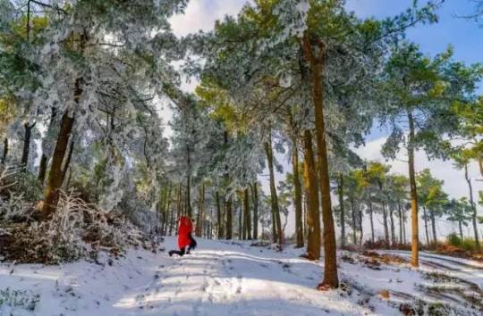 贵州冰雪旅游,贵州旅游滑雪最佳路线