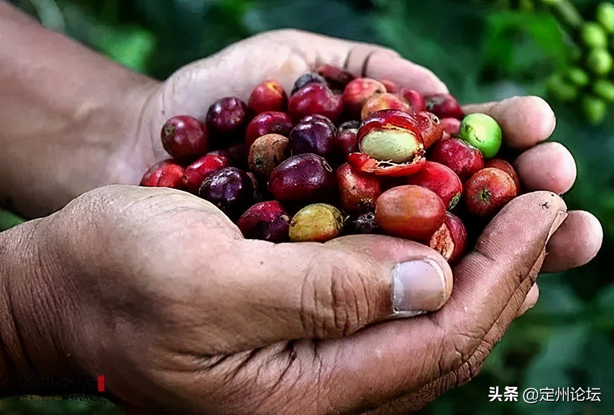 河北：这个国家总理为咱定州老乡投资企业开业剪彩