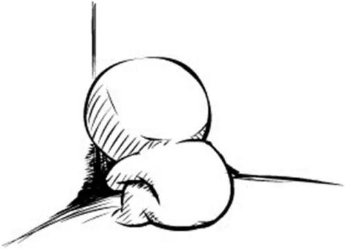 干货财经小知识,干货知识金融