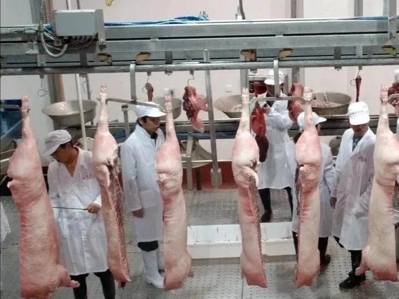 养殖业被垄断,生猪被垄断会是什么情况