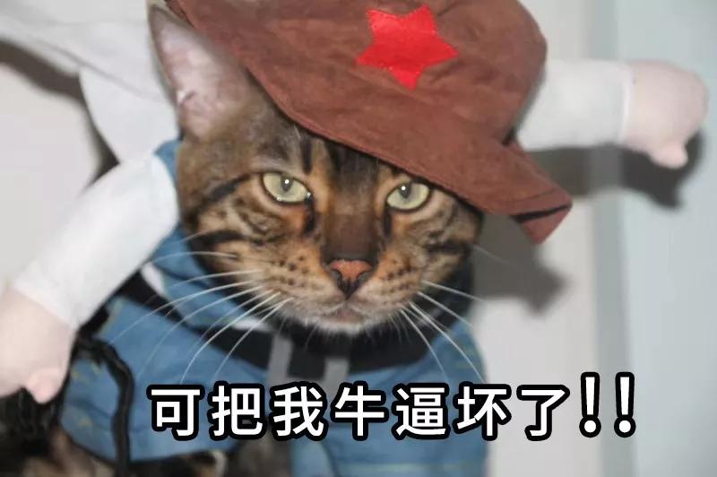 网约车被要求逆行,逆行网约车