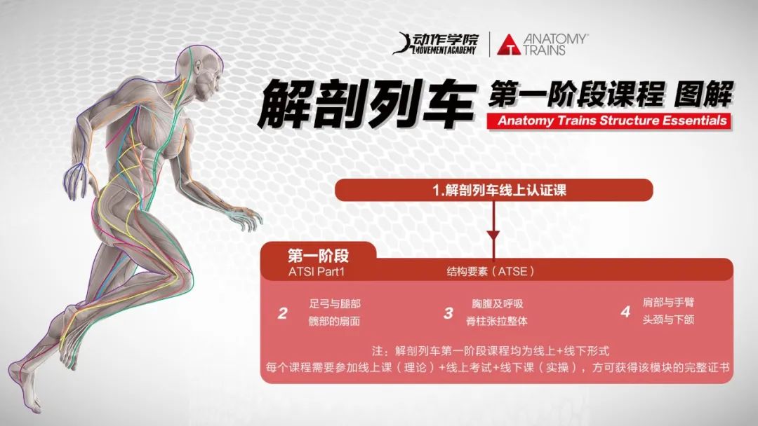 动作学院课程,动作学院体能培训