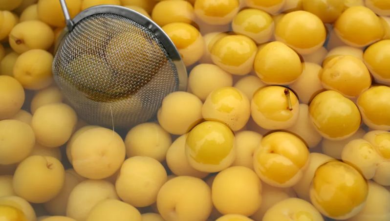 哪个地方的酸菜最正宗,最好吃的酸菜是哪个城市