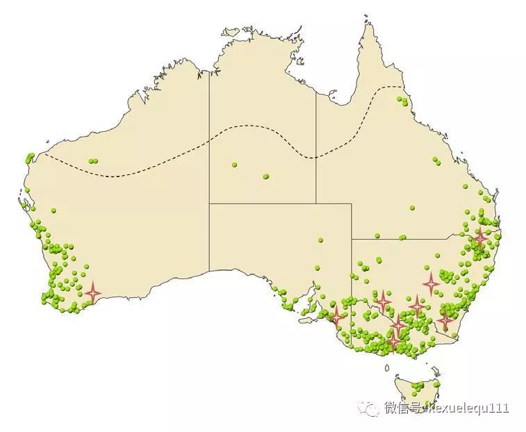 杀死兔子的方法,杀死兔子有什么后果