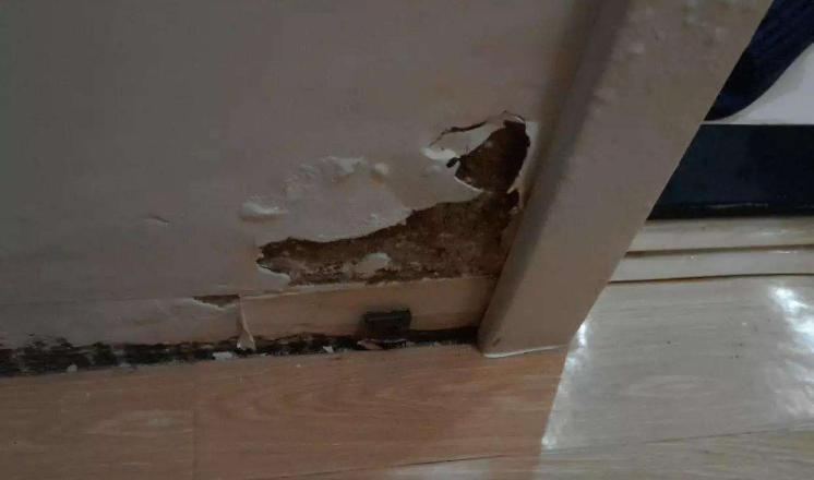 全屋做防水怎么知道不会漏,装修全屋防水怎么做好