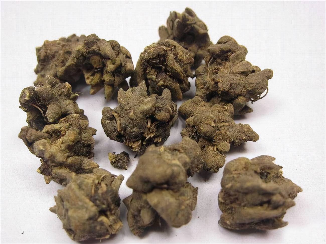 三棱莪术具有的功效是什么,三棱莪术对女性有什么影响