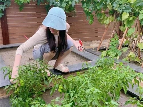 张馨予是不是娱乐圈最美的女明星,张馨予用一张照片成功迈进娱乐圈