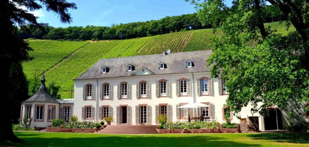 vdp德国酒庄联盟,vdp莱茵高半干白葡萄酒