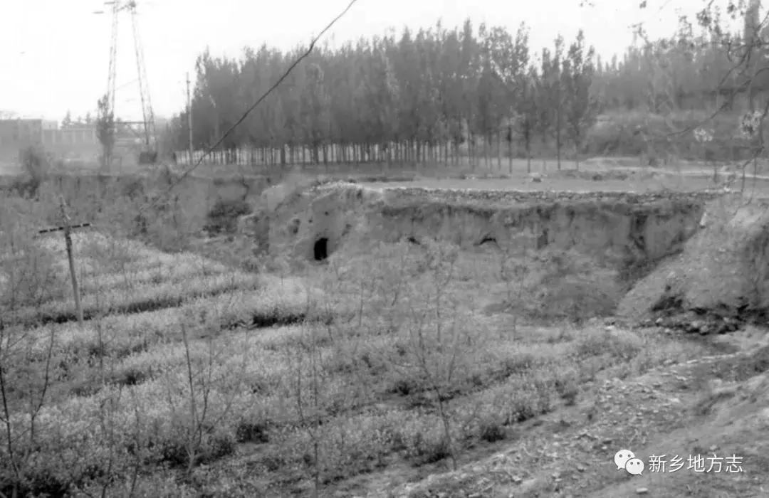 新乡好听名字的玫瑰泉，背后竟有那么多曲折的故事