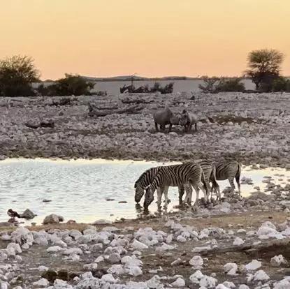 假期撒手没的戏精同事们,竟然在我挤春运的时候吹海风??(下)