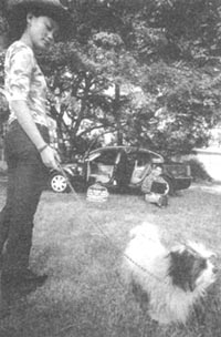 中国中产阶级人的生活,中国中产阶级的痛点