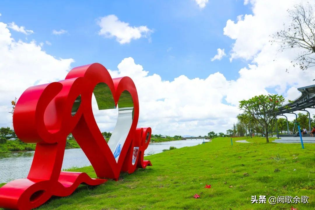 珠海公园森林风景,珠海公园美景视频