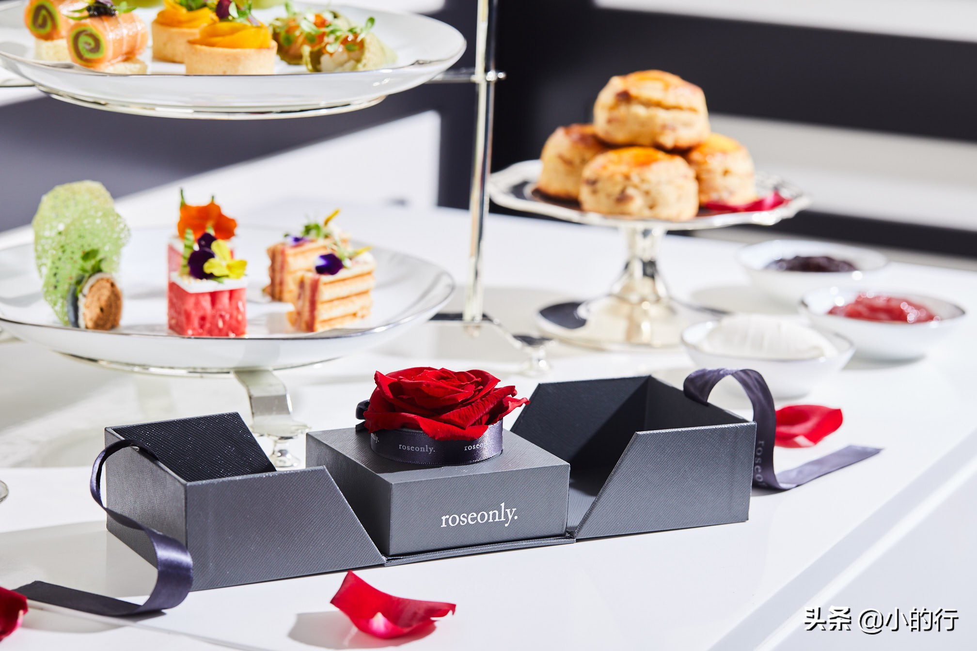 亲爱的热爱的gun神出场,亲爱的热爱的gun神韩商言讲话