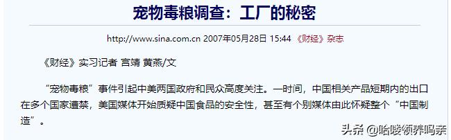 猫咪乳糖不耐受吃什么猫粮,猫咪不爱喝奶该如何解决