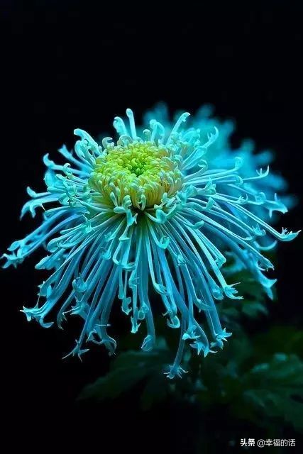 不生气歌儿歌,不生气的消气歌