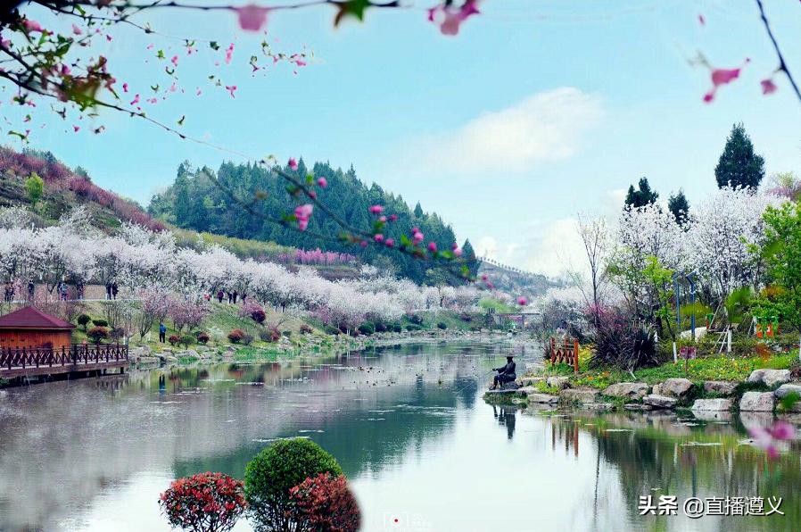 遵义十二中活动,17个娱乐项目畅玩