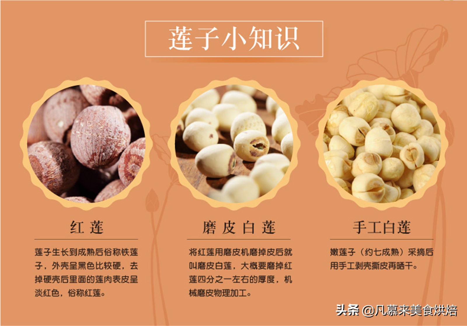 坚果中最有营养的是什么坚果,13种常见的坚果哪种坚果最有营养