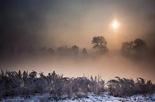 此生必去看一次雾凇太美了,此生必去看一次雾凇简直要美哭了