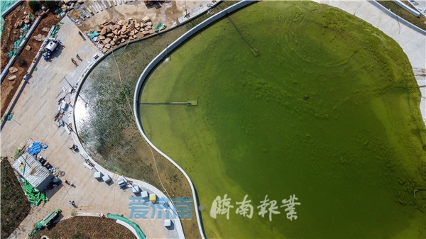 济南夏日风景美如画,济南美如画的地方