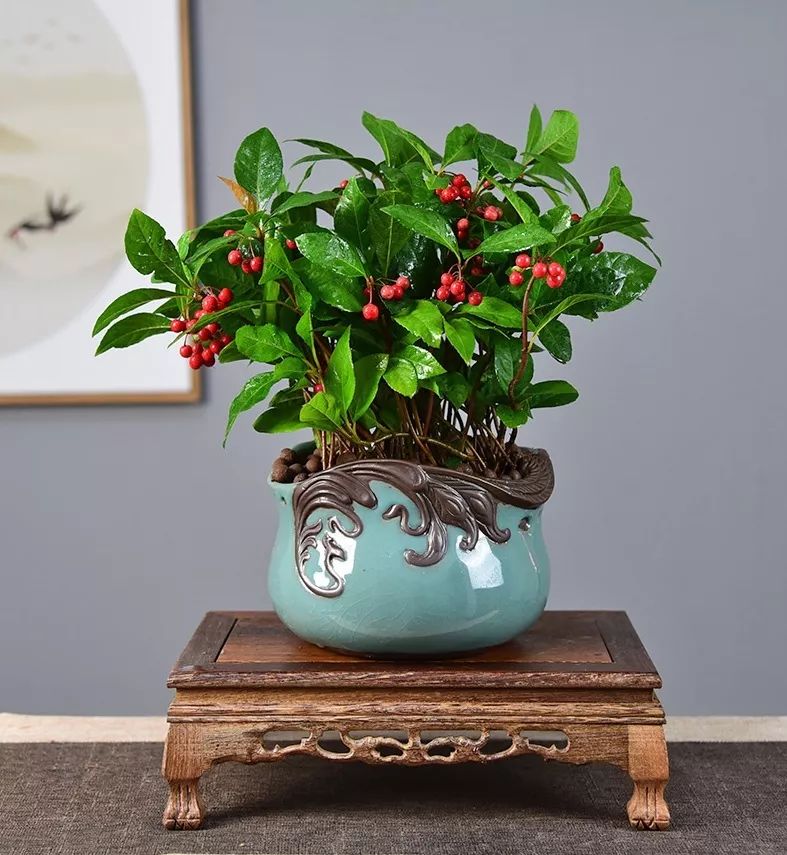 过年家里必摆的九道菜,过年家里摆的喜庆的物件