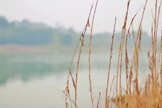 重庆旅游小岛,重庆小岛景区