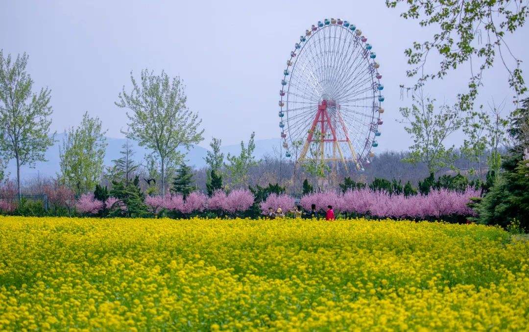 济南市15家室外a级旅游景区,济南市华山旅游景区