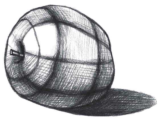 素描静物步骤及画法简单,素描静物不锈钢电水壶结构素描