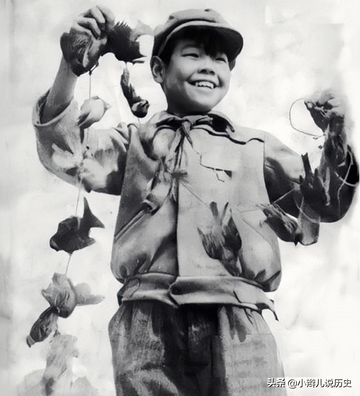 除四害灭老鼠的方法,除四害灭老鼠