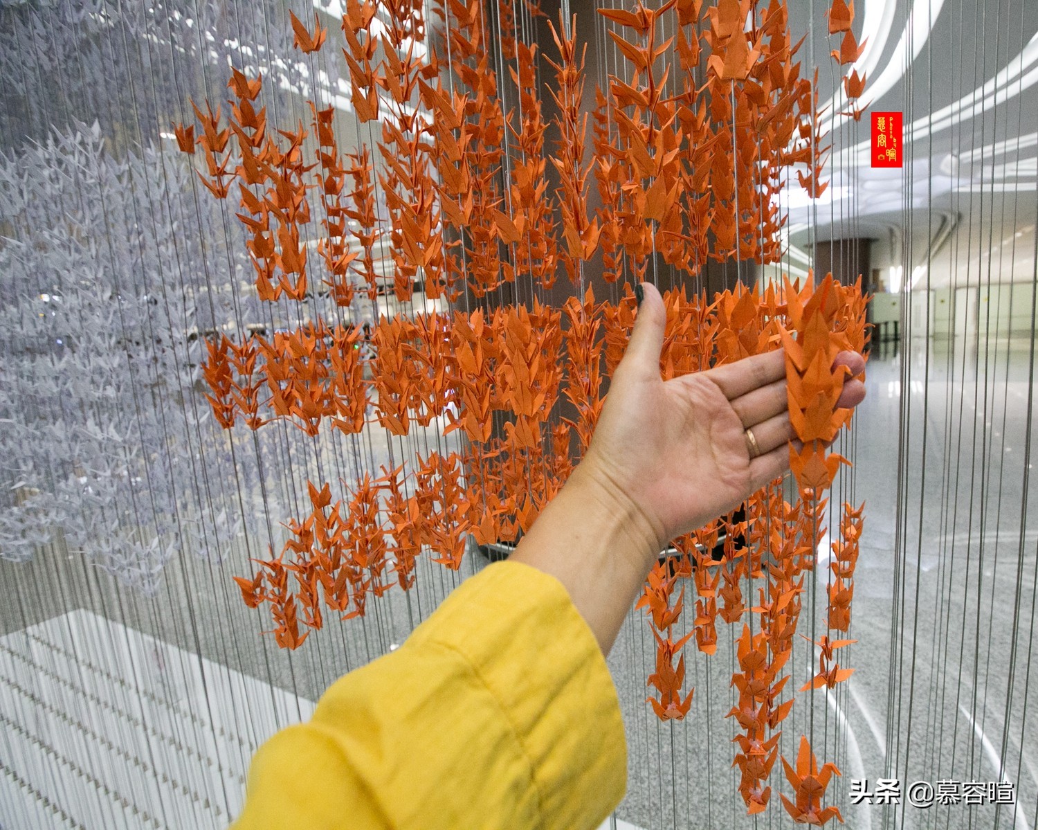 北京大兴免费景点网红打卡,大兴网红打卡旅游景区