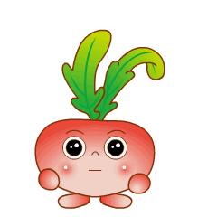 西安陇南风味,风味原产地甘肃陇南