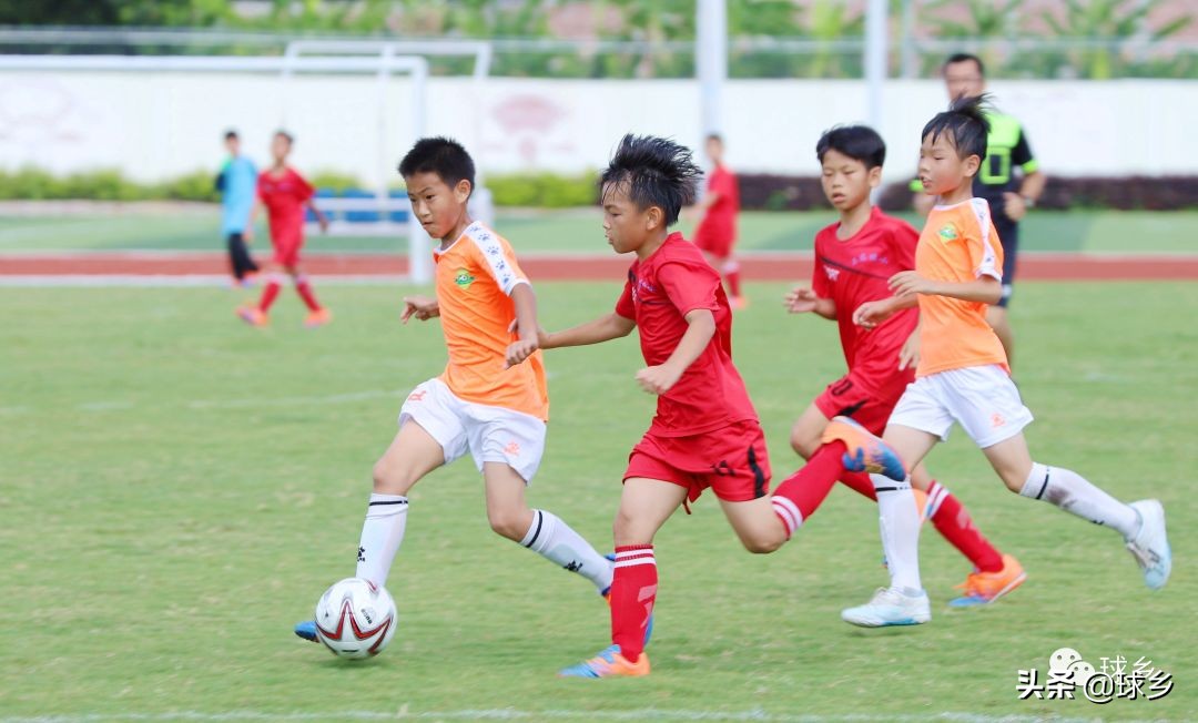 区中小学足球联赛,体教融合杯中学篮球赛